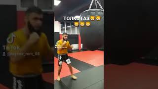 faizov_mma_08