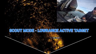 Scout mode   Lowrance Active Target hauki