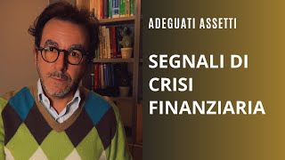 Segnali di crisi finanziarie ed obbligo degli adeguati assetti