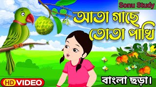 বাচ্চাদের বাংলা ছড়া হাট্টিমাটিম টিম। বাংলা ছড়া আতা গাছে তোতা পাখি।#বর্ণপরিচয়