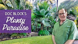 A Planty Paradise Like You've Never Seen Before: The DR BLOCK TOUR and Q&A!