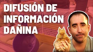 CyP mascota - Promoción del maltrato animal (+ English Subtitles)