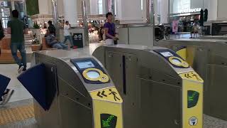 AUCKLAND NEWZEALAND TRAIN STATION #shorts #auckland #shortvid #JAYTHEBELL