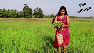 (කංකුං)Making delicious platter with the fresh water spinench grown in my homeland