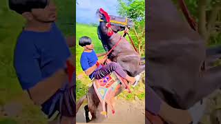 vage vage trambalu ne dhol ||Kathiyawadi horse riding with Kathiyawadi horse