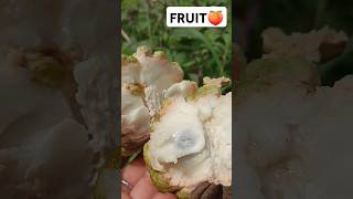 Orange Fruit Harvesting🍑🍏🥝🍓 #fruitfarming #custardapple #fruitcutting #harvesting @Food-home14G