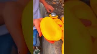 Fruits video viral #explore #reels #satisfying #fruit #mangofruit #shortfeed