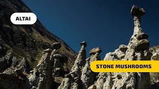 Mushroom Stones in Altai – An Unusual Structure Created by Nature