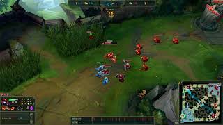 shyvana vs irelia be like