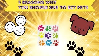 5 Reasons Why You Should Sub To Ezy Pets