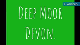 Deep Moor Devon.