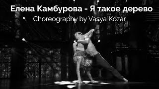 Елена Камбурова - Я такое дерево | Choreography by Vasya Kozar (KDT)