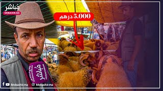 كسَّاب بسوق "الحرارين" بطنجة يكشف سبب غلاء أضاحي العيد