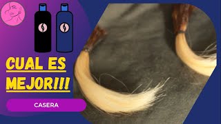 😮 Shampoo negro y azul, cuál deja el rubio más bonito! ✨