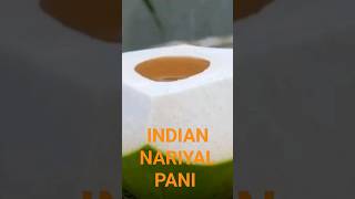 भारतीय नारियाल पानी INDIAN  NARIYAL PANI  #streetfood #trending #ytshorts #viral #shortsvideo