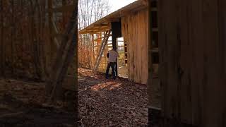 Cabin Siding with Board and Batten