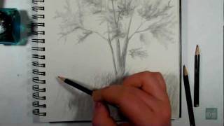 How to Draw a Realistic Tree Pt 2 - How to place the tree in a scene.