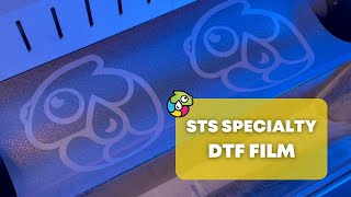 STS SPECIALTY DTF FILM