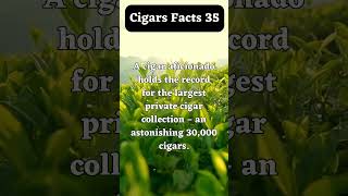 Cigars facts 35