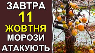 ПОГОДА НА ЗАВТРА: 11 ОКТЯБРЯ 2023, прогноз температуры | Точная погода на день в Украине