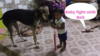 baby fight with belt | #dog #puppies #baby #funnydogs #dogfunny #kanni #petsinfo #belt