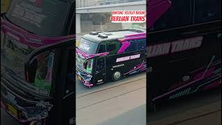 Hunting telolet basuri berlian trans kota santri#telolet#basuri#busmania#bus