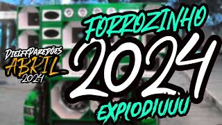 🪗FORROZINHO REMIX 2024 AS ANTIGAS🔥 REMIX 2024 #djjeffdepl #forrozinho #nordeste #piseiro