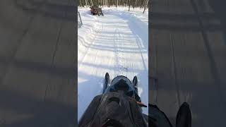 Loading on my Sled Deck 3/11/24