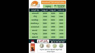 jhk market rate updates | Today Market Prices of Greenchilli & Carrot in telangana |   @JaiHoKisan