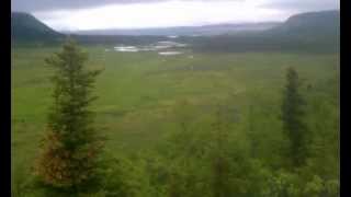 2012-06-28 Katmai N.P. - VTTS - Large meadow before Three Forks Overlook