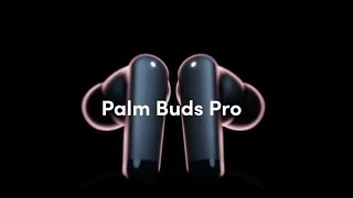 Meet the Palm Buds Pro earbuds that come with six microphones