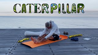 Caterpillar Pose – great for your hamstrings