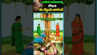 ఆషాడ అమావాస్య రోజున ఈ చెట్టును తాకండి ||Ashada Amavasta Lakshmi Devi Kataksham