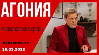 Невзоровские среды (маленькие). Путин,  Украина, война, шизофрения,  прозрение, Навальный.