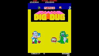 Dig Dug [Arcade]