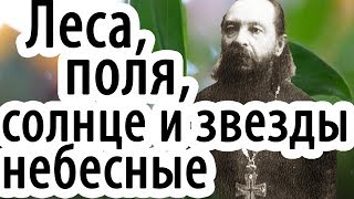 Мою детскую душу развивали леса, поля, солнце и звезды небесные! Исповедь священника перед Церковью