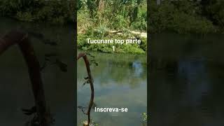 pesca de tucunaré com estilingue parte 1