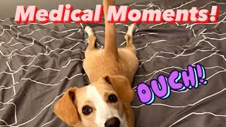 Medical Moments!