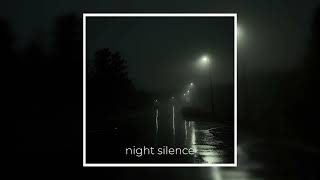 NIGHT SILENCE