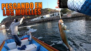 PESCA AL JIGG EN LOS MUELLES | Lupe Lofish