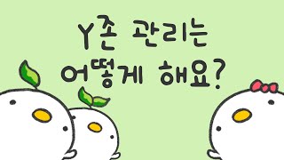 Y존 관리는 어떻게 해요?