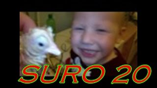 Инкубатор. KING SURO 20