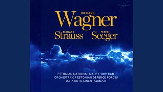 Tannhauser (arr. P. Saan) : Act I: Zu dir wall ich, mein Jesus Christ