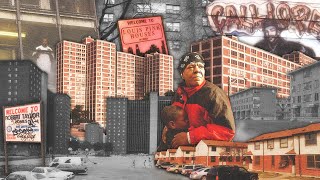 "Most Infamous" Public Housing Projects in American History (Documentary) Crime | Hoods