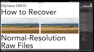 Olympus - Recovering Normal Resolution Files (From High-Res mode)