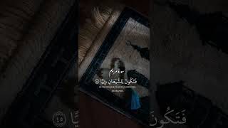 يا ابت لا تعبد الشيطان | القران الكريم| quran #youtubeshorts #quran #ادعية #اكسبلور