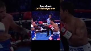 💪Paquiao's lefthand power#highlights#boxing#highlight#boxingknockout#MannyPacquiao#boxinghighlights