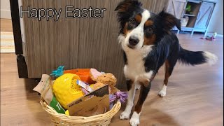 The Easter Bunny Visited Our Puppy