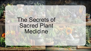 The Secrets of Sacred Plant Medicine