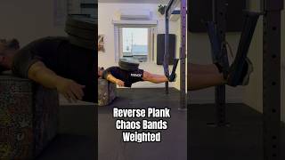 Reverse Plank Chaos Bands